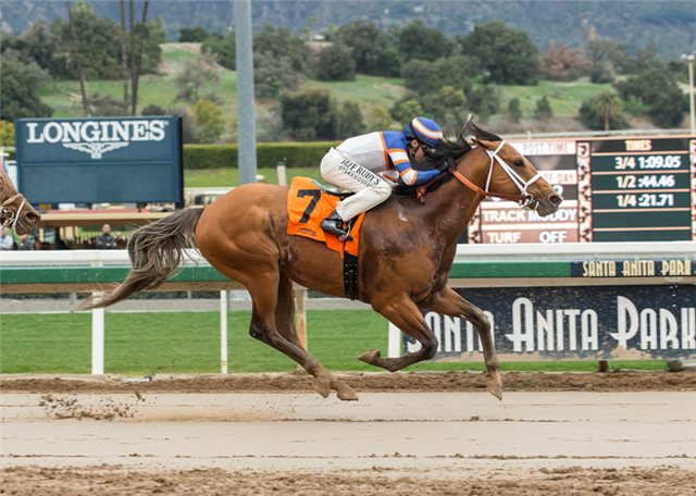 Tough Sunday winning Sensational Star Stakes. (BENOIT photo)